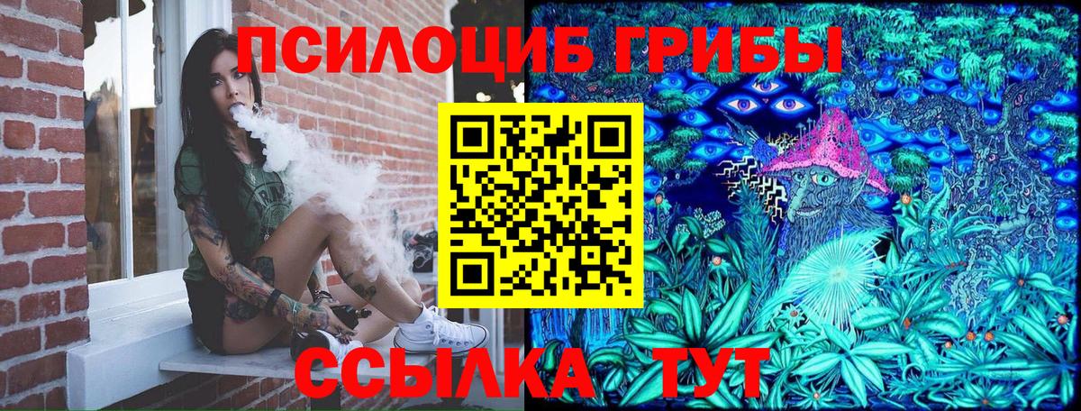 Псилоцибиновые грибы мухоморы Торжок